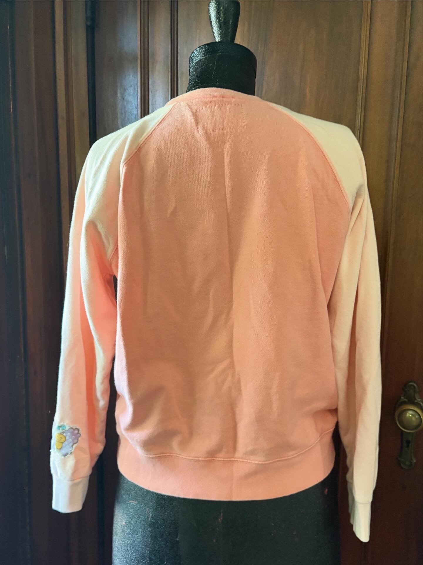 Strawberry Shortcake and pets sweatshirt