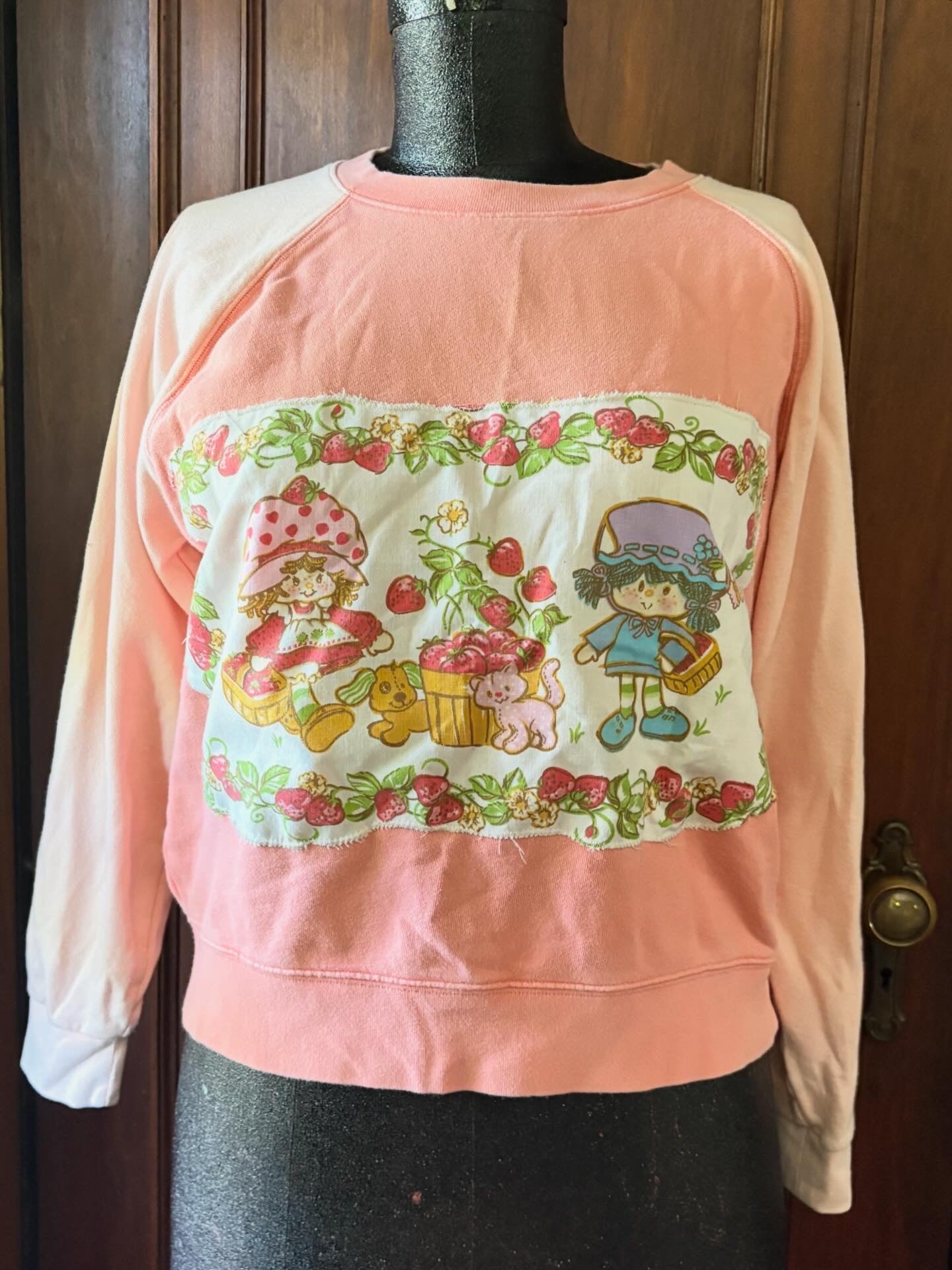 Strawberry Shortcake and pets sweatshirt